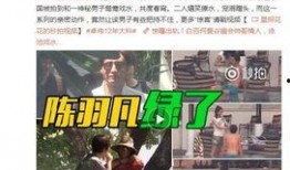 爆料西安老乔视频大全最新,视频大全背后的故事与真相