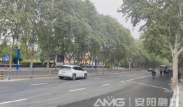 文峰大道最新爆料,揭秘未来城市交通新动脉